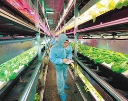 2011世界糧食日_騰訊科技_騰訊網(wǎng)